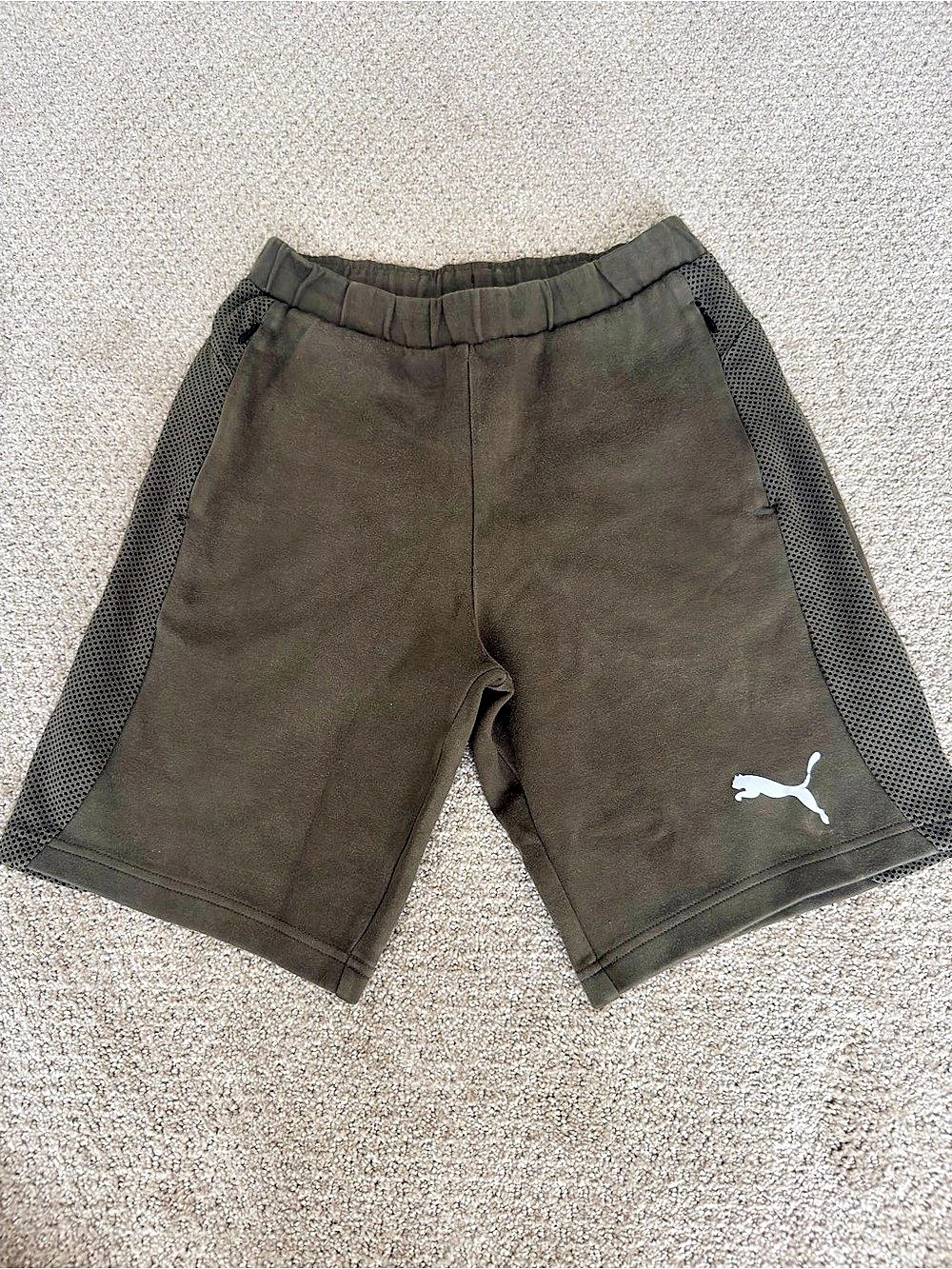 Puma Athletic Mesh Panel Shorts Brown